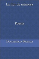 /album/domenico-branca-path/a41tctugpwcl-sx331-bo1-204-203-200-jpg/