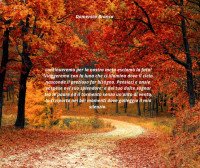 /album/domenico-branca-path/557417678-1318417653249039-6288398458243111901-n-jpg/